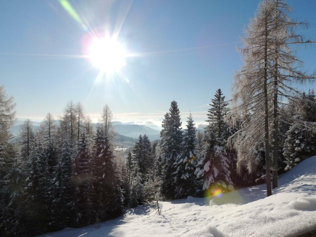 Villa-Alpenblick Hochrindl Exteriör bild